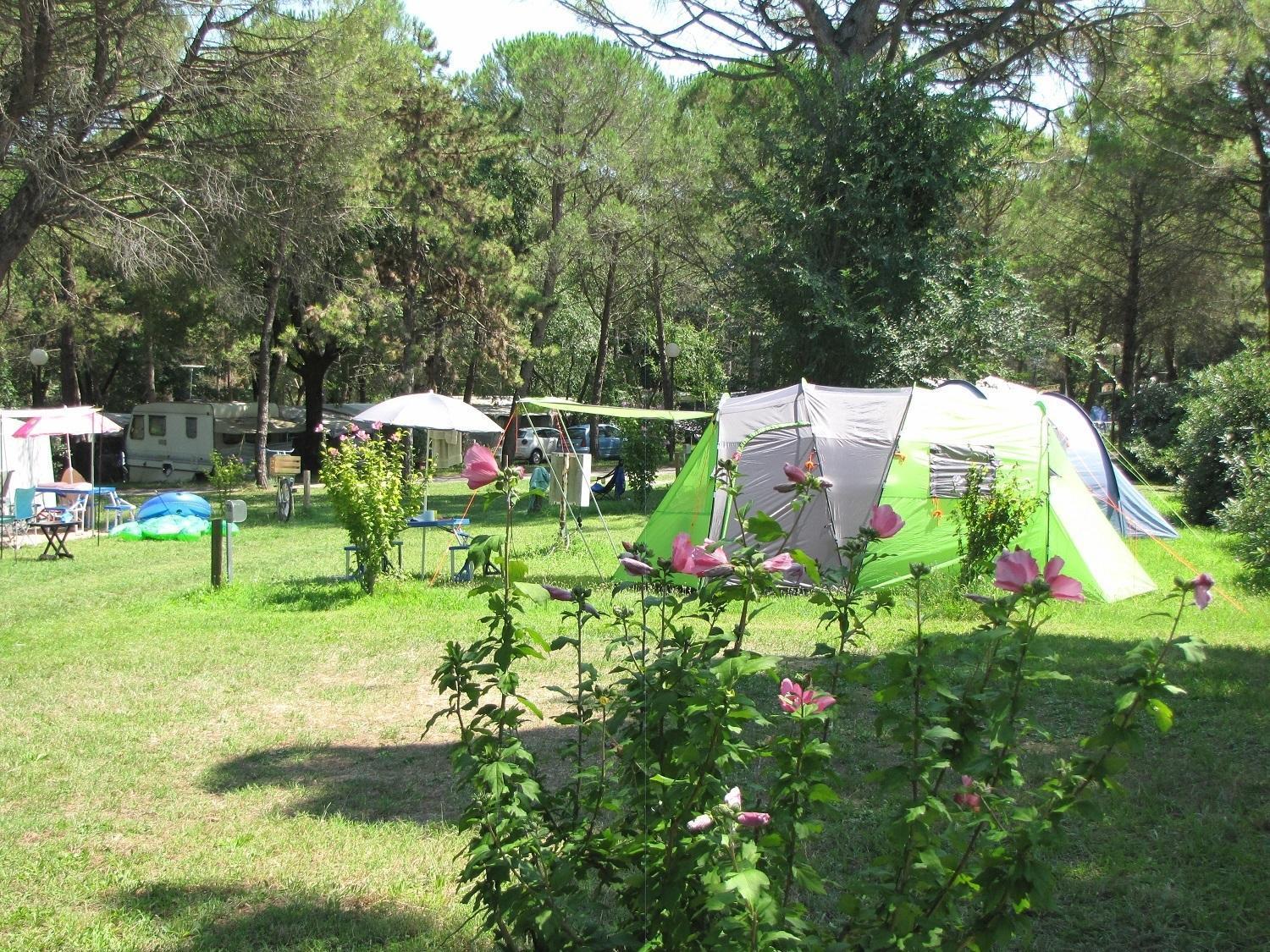 Parco vacanze Belvedere Pineta Village Grado